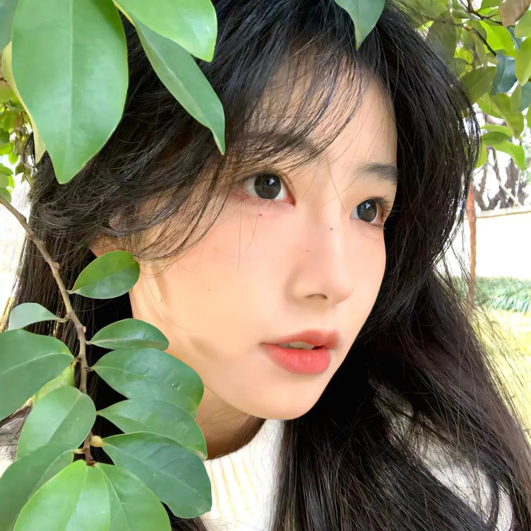 百鸟朝凤